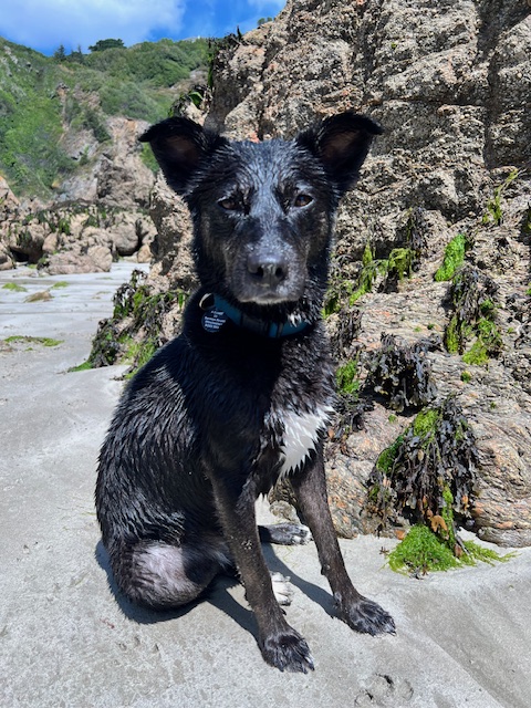 Livvi the Brand Ambassador